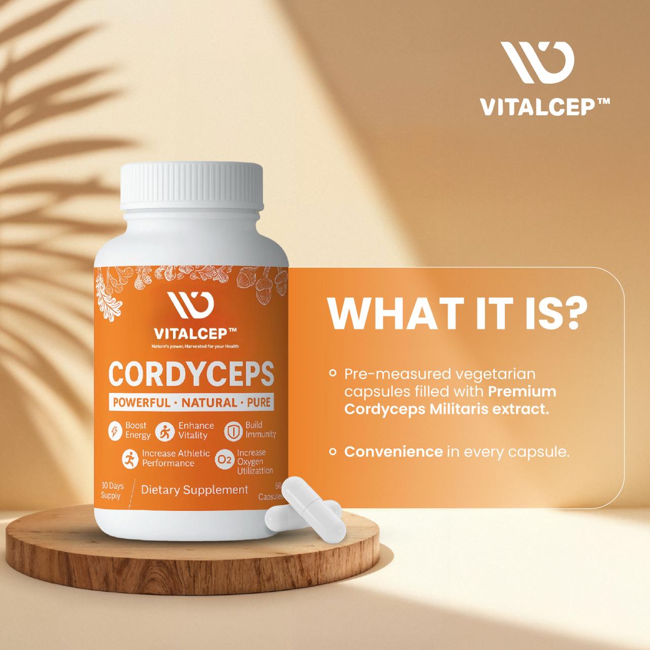 Cordyceps Capsules (60 capsules - 500mg each)