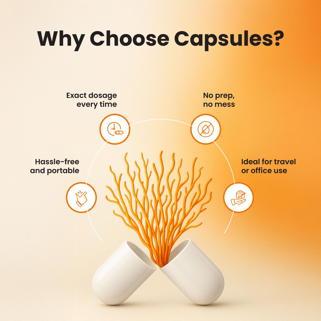 Cordyceps Capsules (60 capsules - 500mg each)