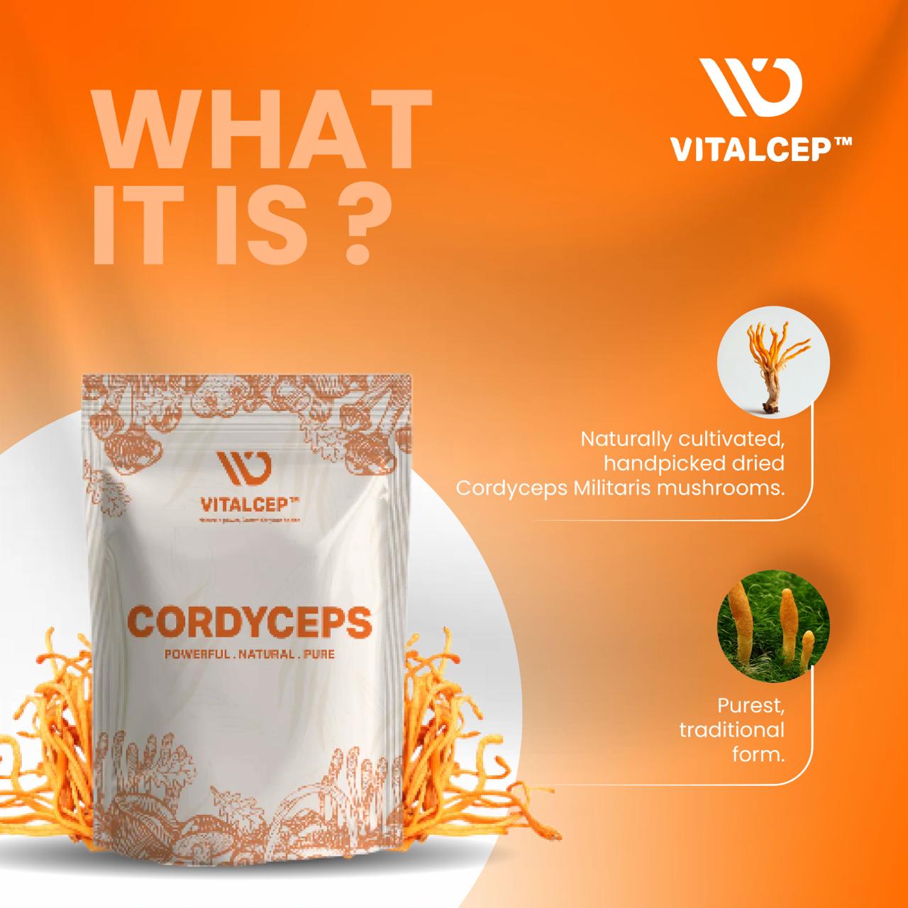 Cordyceps Raw & Dried (sachets of 1 gram)