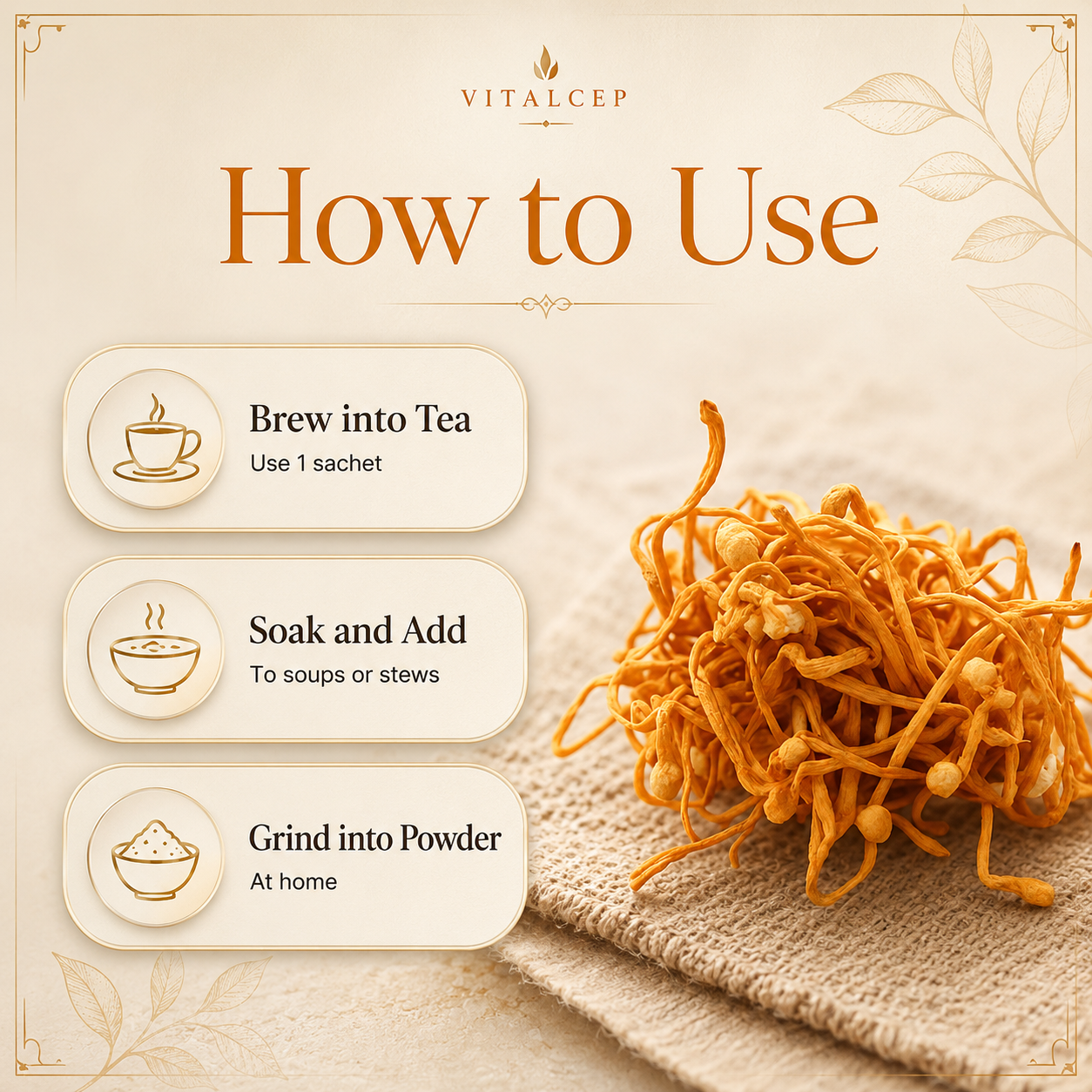 Cordyceps Militaris Raw & Dried (Keedajadi) | Lab-Tested | Vitalcep