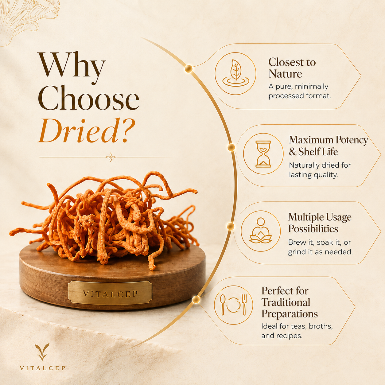 Cordyceps Militaris Raw & Dried (Keedajadi) | Lab-Tested | Vitalcep