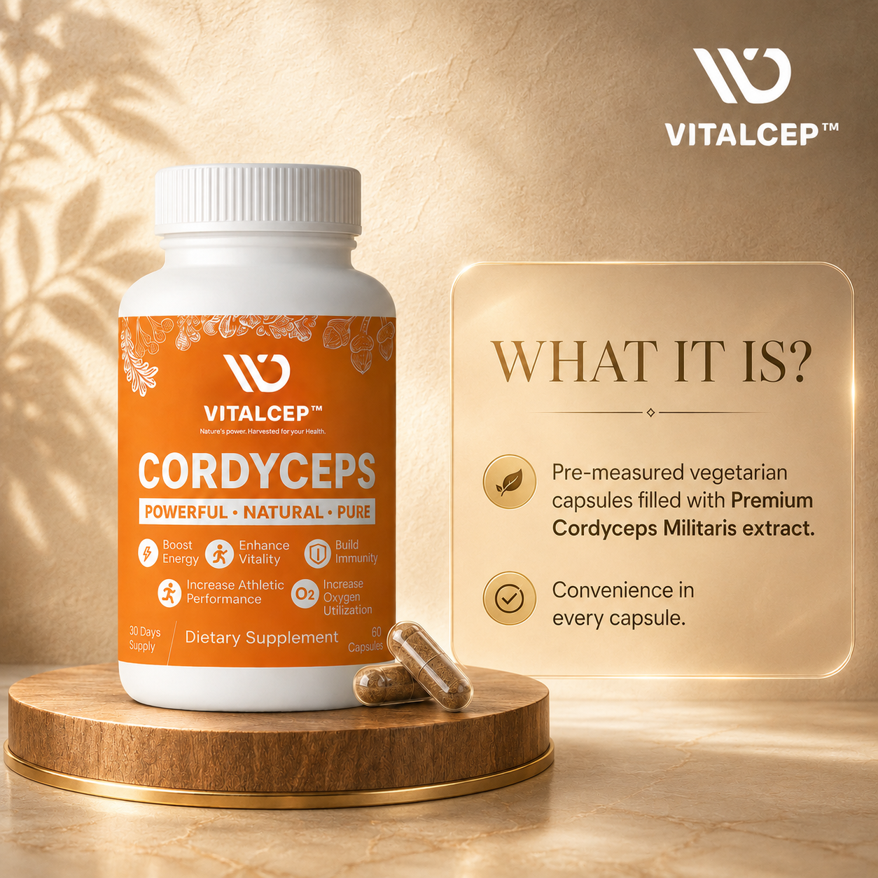 Cordyceps Militaris Capsules (Keedajadi) | 500mg | 60 Caps | Lab-Tested | Vitalcep