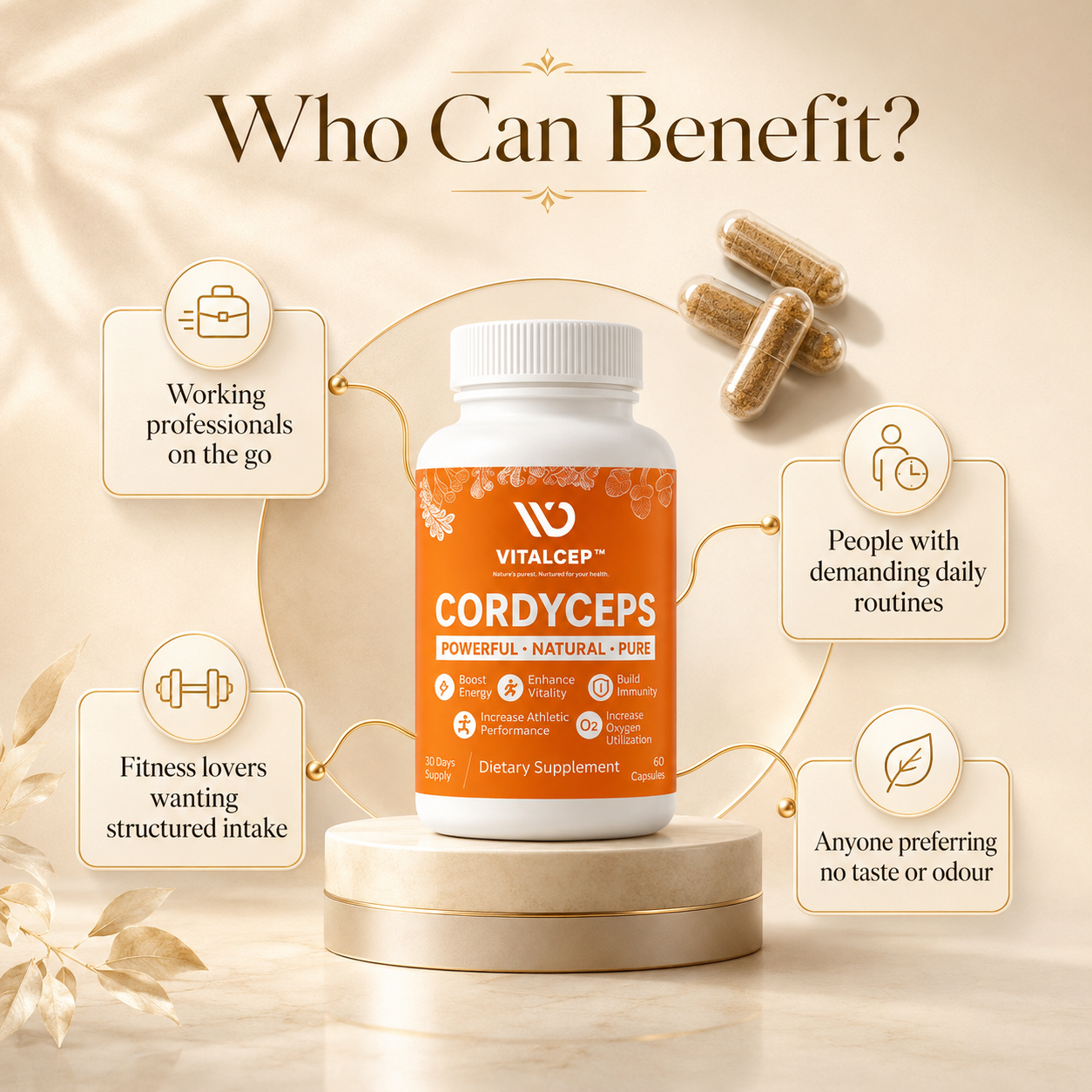 Cordyceps Militaris Capsules (Keedajadi) | 500mg | 60 Caps | Lab-Tested | Vitalcep