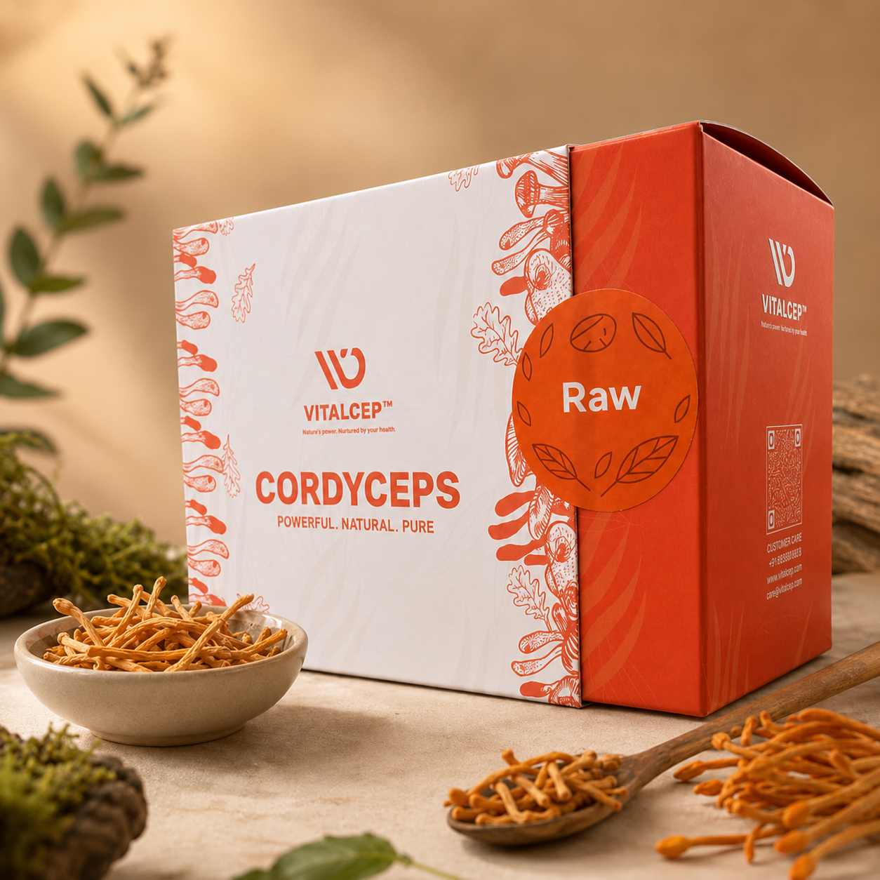 Cordyceps Militaris Raw & Dried (Keedajadi) | Lab-Tested | Vitalcep